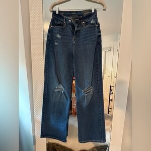 Classic Distressed baggy Jean target Wilde brand